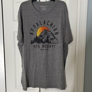 Aeropostale Heather Gray T-Shirt